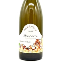 【２本セット】アンドレアス・ツェッペ　2020 サラマンダー　トカゲ 2本セット】アンドレアス・ツェッペ 2020 サラマンダー トカゲ