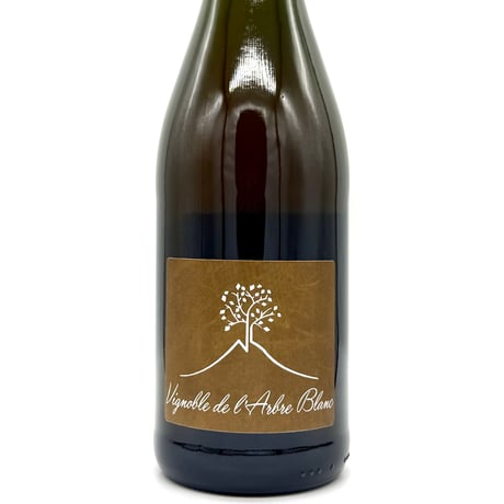 WANDERLUST WINESHOP