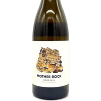 アンドレアス・ツェッペ / サラマンダー（トカゲ）2020 | WANDERLUST