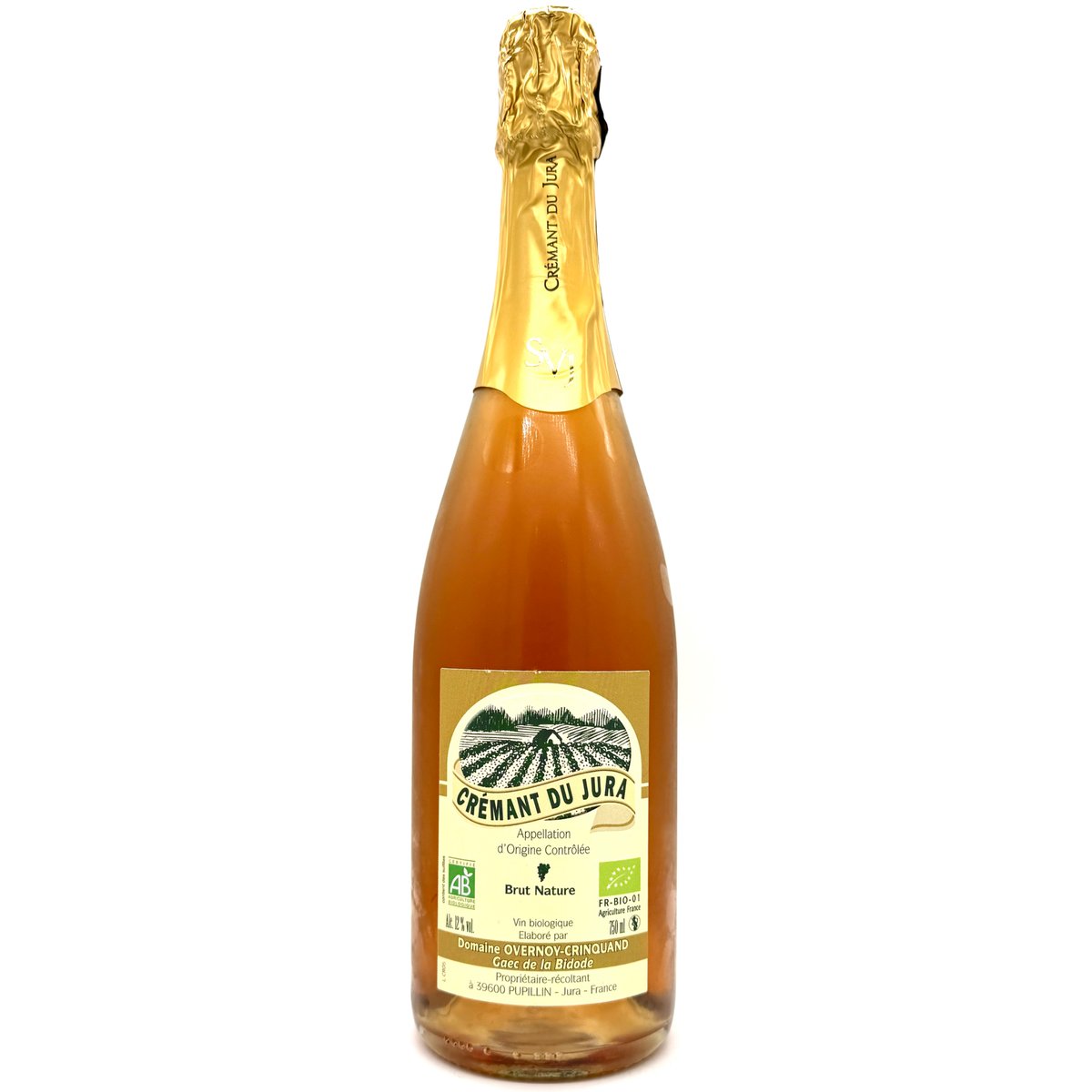 オヴェルノワ・クランカン / クレマン・デュ・ジュラ NV | WANDERLUST