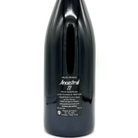 希少 マジエール C18 マジエール Maziere - Wine Shop Salut - 世界各地の自然派＆銘醸