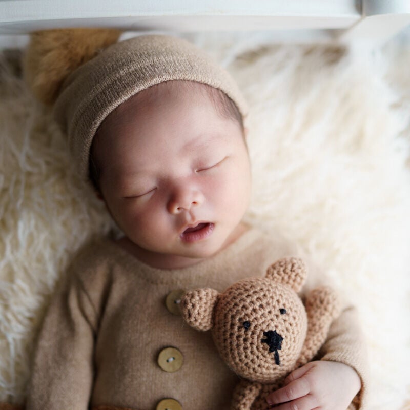 チェックのくまさん】ベビーヘアクリップ♡ベビーヘアピン セミ