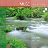 知浦 伸司CD MUSE/ミューズ
