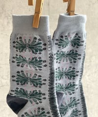 ●NL  ソックス LACE