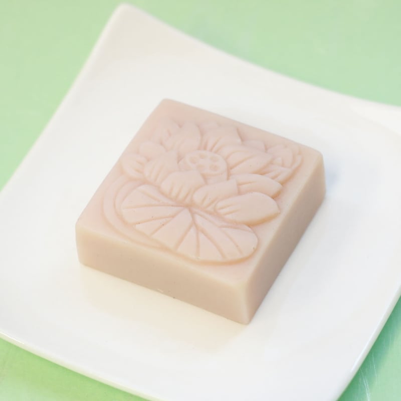 ごんごん　サイエンス スリム 2箱、石蓮花 痩身秘茶AX ゼリー２箱セット 痩身秘茶®AX（ゼリータイプ）｜ドクターデヴィアス化粧品