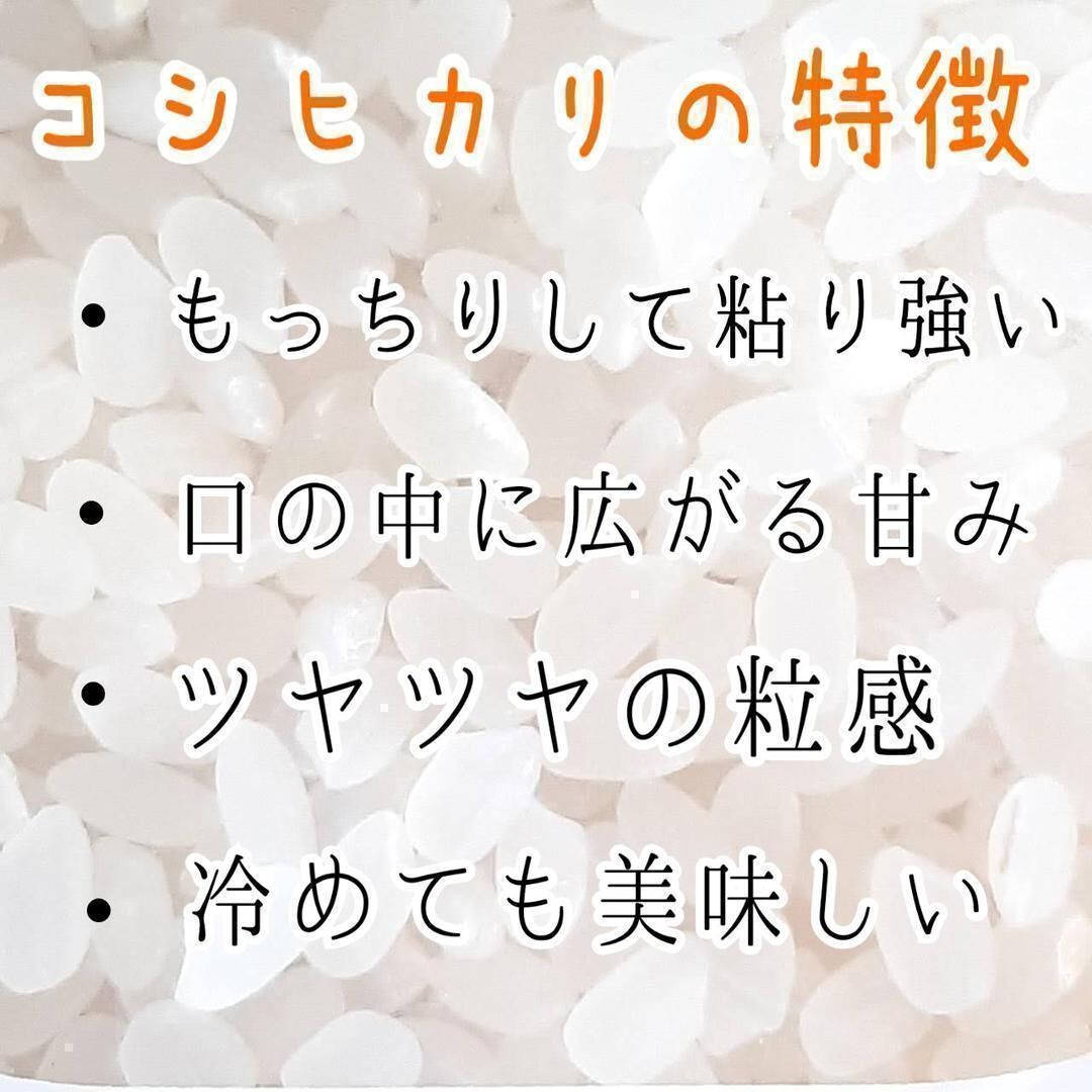 丸増【白米】新米 産地直送！令和5年産 埼玉県産 コシヒカリ 白米 27kg