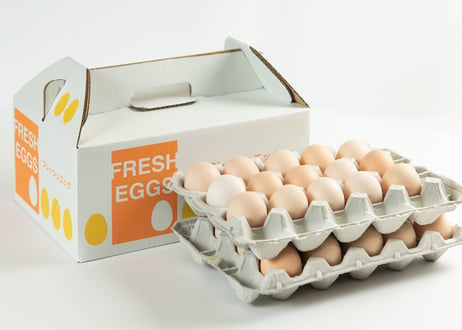 40  美黄卵さくら　30個入り化粧ケース
