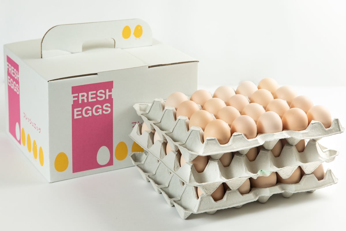 たまご fit=scale-down,w=1200