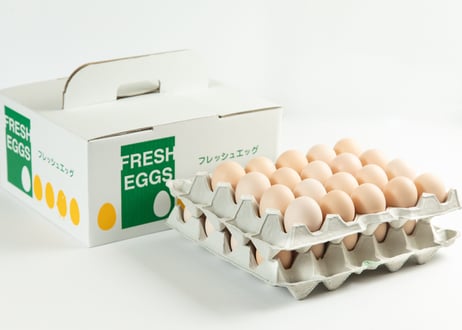 たまご Mack 25166488 - Speedometer Sensor Genuine Pai 845078 – Diesel