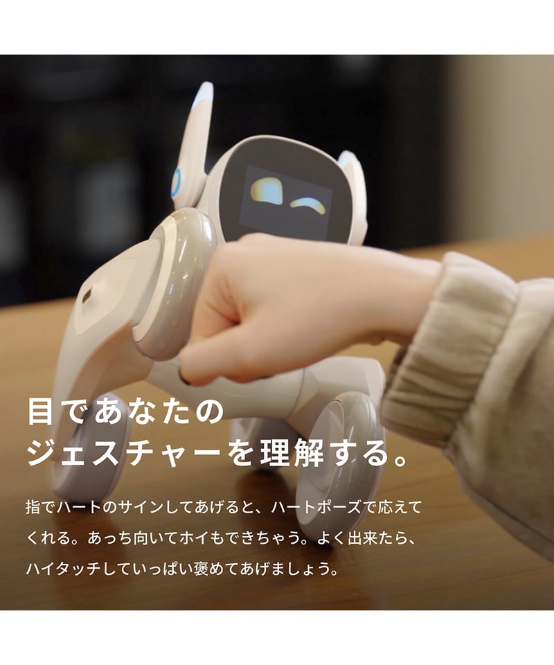 Loona Blue【ルーナ ブルー】 | Robot Planet Online store Loona Blue【ルーナ ブルー】 | Robot Planet Online store