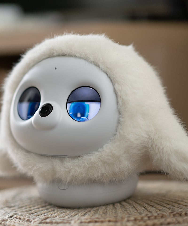 lopeto【ロペット】充電ベース付き | Robot Planet Online store