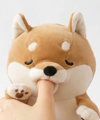 ロボホン弟モデル | Robot Planet Online store
