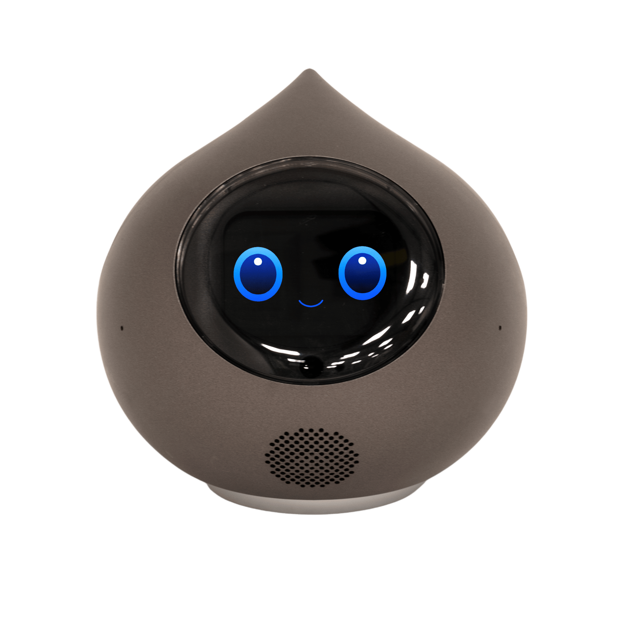 Romi【ロミィ】 Lacatanモデル ムーングレー | Robot Planet Onli