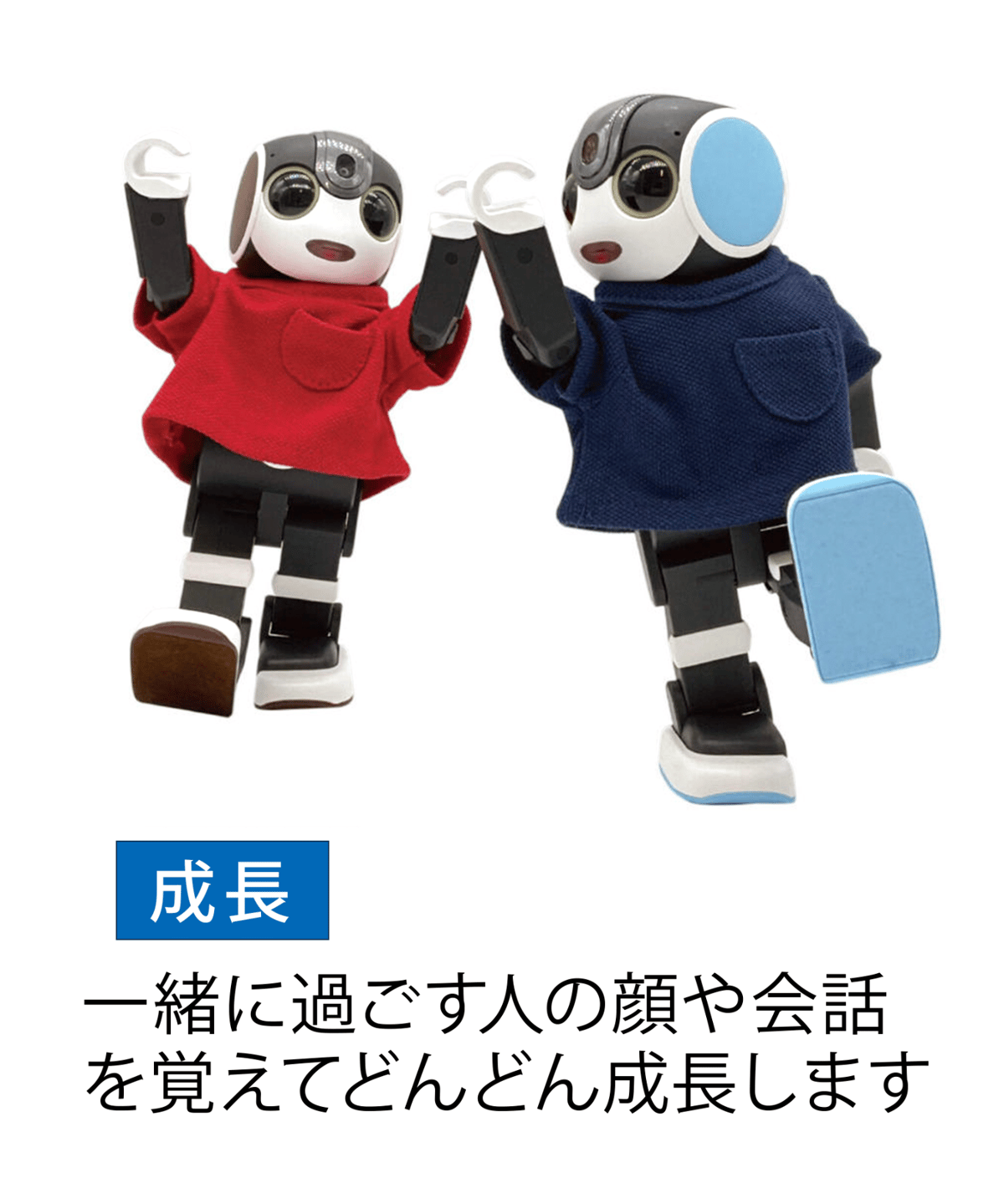 ロボホン ショコラ | Robot Planet Online store
