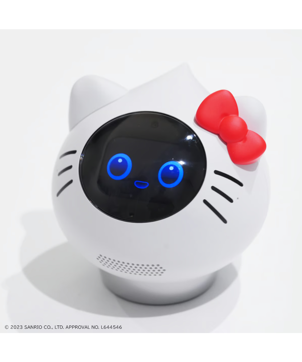 AIロボット　ロミィ　ボディーのみ AIロボット ロミィ ボディーのみ AIロボット ロミィ ボディー