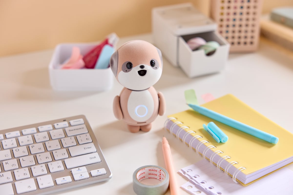 ミーアキャット ポケとも ミーアキャット | Robot Planet Online store