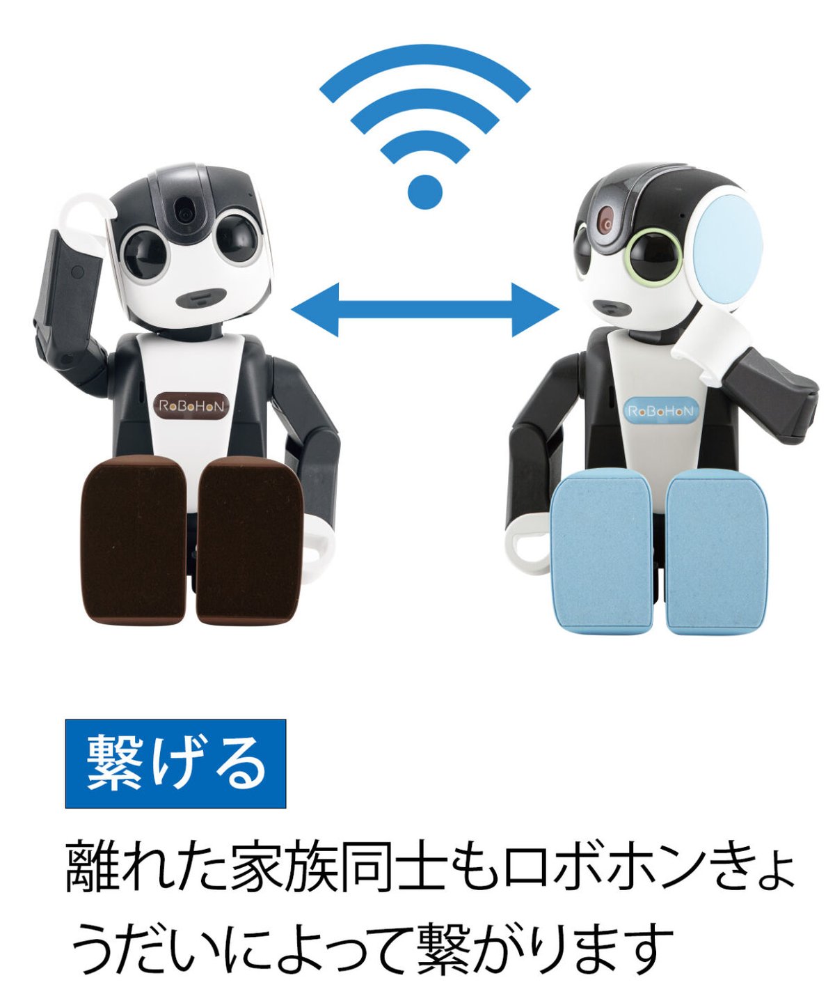 ロボホン プレミアム（ショコラ） | Robot Planet Online store