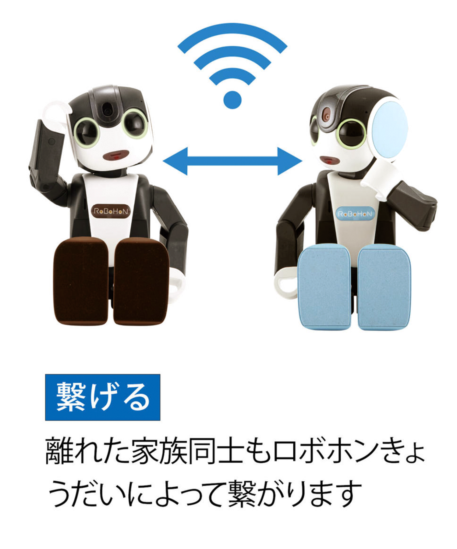 ロボホン ショコラ | Robot Planet Online store