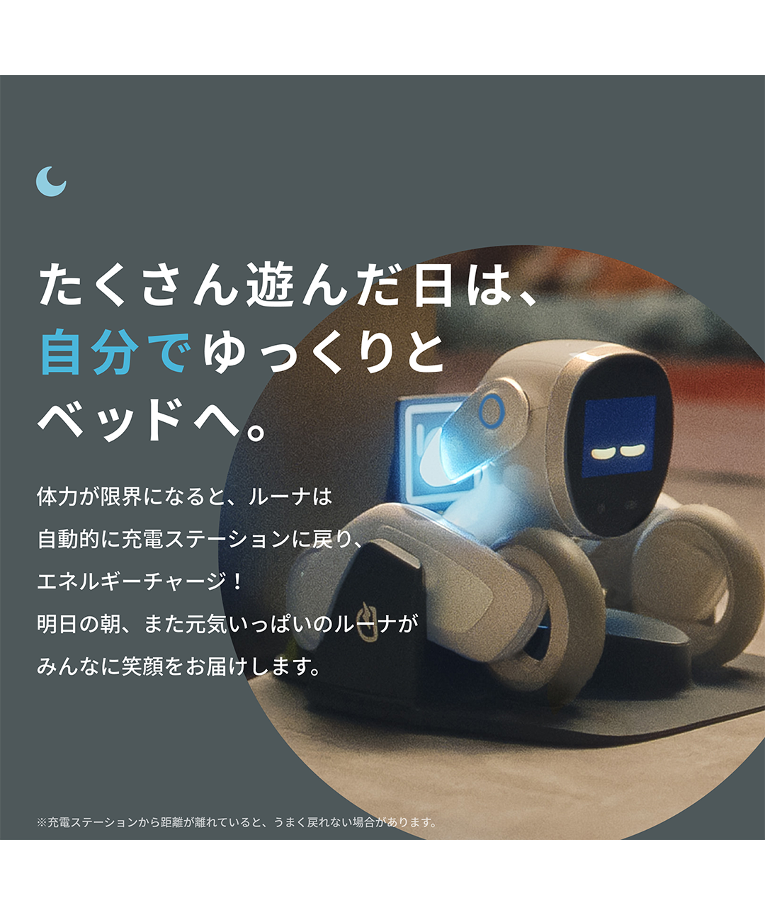 ルーナブルー　ロボット Loona Blue【ルーナ ブルー】 | Robot Planet Online store