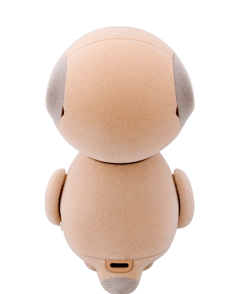 ミーアキャット　4枚 71YxwbsoSOL._UF350,350_QL50_.jpg