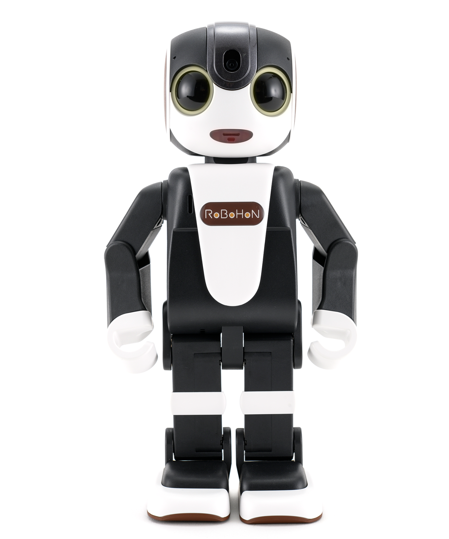 ① 美品 ロボホン SR-S05BJ SHARP ロボホン ショコラ | Robot Planet Online store