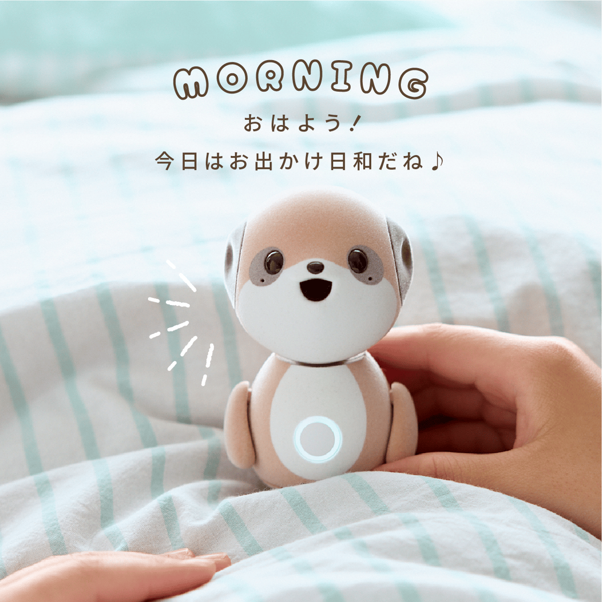 ミーアキャット ポケとも ミーアキャット | Robot Planet Online store