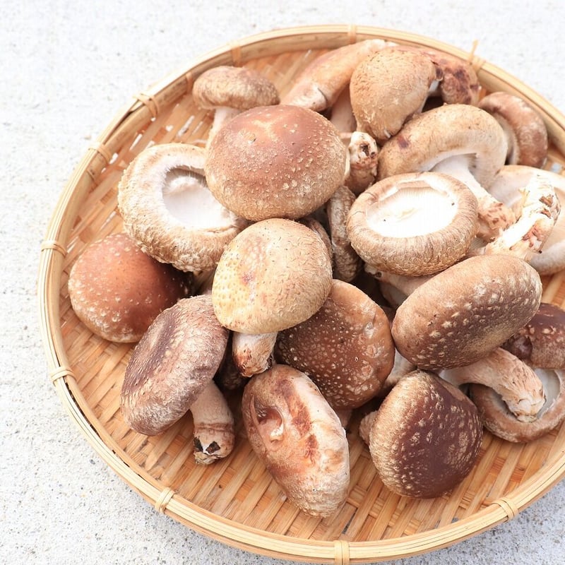 ちょいワル椎茸(クール便) 500g | うちやま農園オンラインショップ