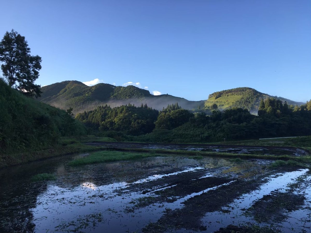 完全無農薬玄米（合鴨農法）令和２年度収穫 鹿児島県産直 13℃一定保存