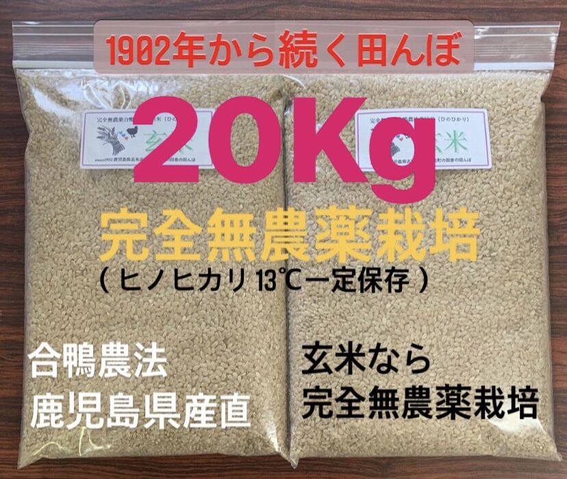 あいがも農法 無農薬 玄米20kg - 米