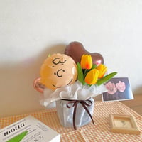 チャーリーブラウンのピクニック