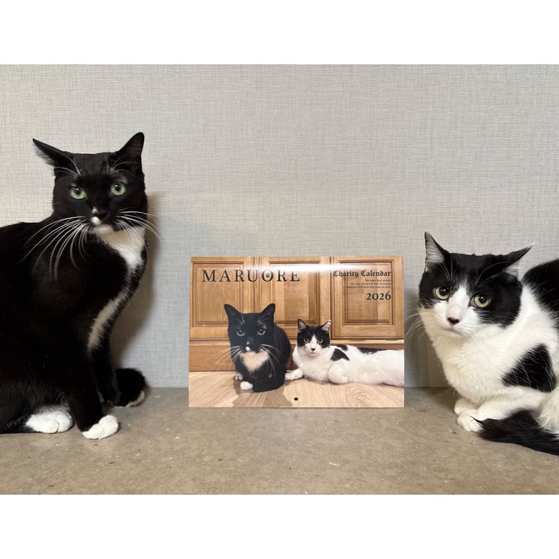 マルオレチャリティーカレンダー2026(2タイプ) ※残りわずか | maruore