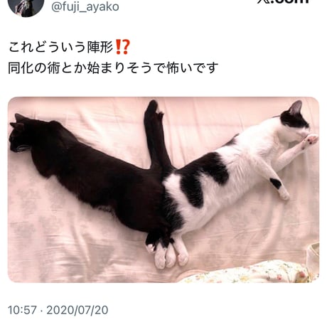 フュージョンロゴトラックジャケット(サックス×ネイビー)