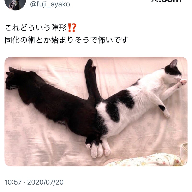 フュージョンロゴトラックジャケット(サックス×ネイビー) | maruore-store
