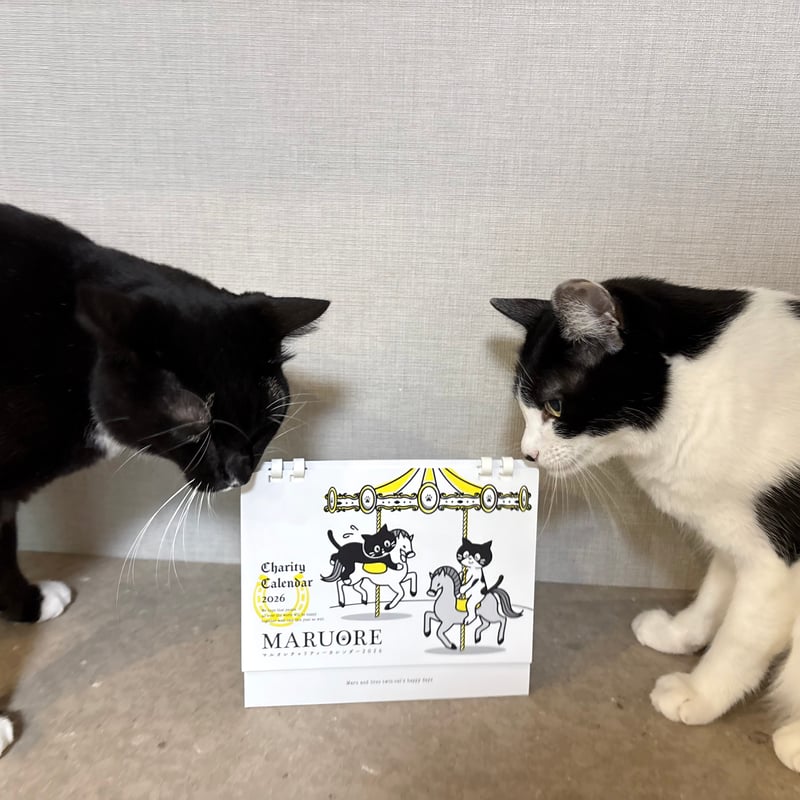 マルオレチャリティーカレンダー2026(2タイプ) ※残りわずか | maruore