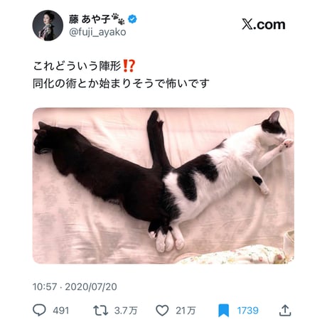 フュージョンロゴトラックジャケット(ベージュ×ブラウン)