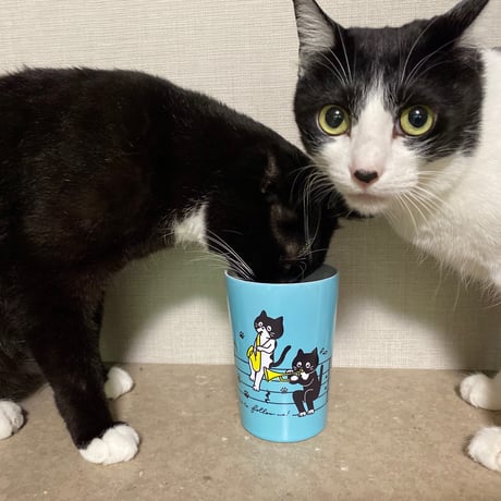 333,333記念タンブラー