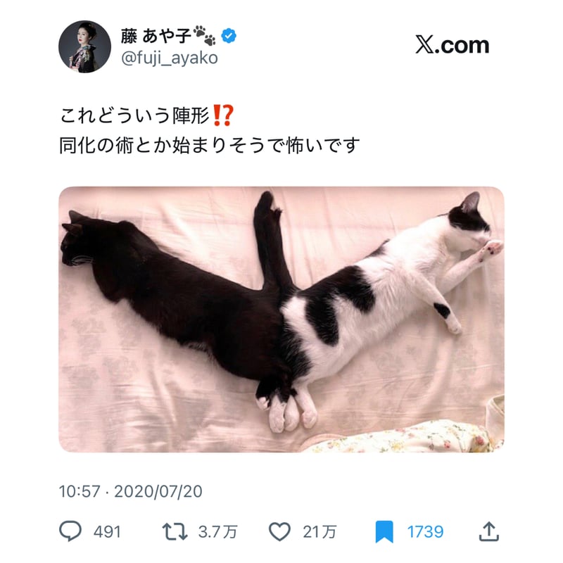 フュージョンロゴトラックパンツ(ベージュ×ブラウン) | maruore-store
