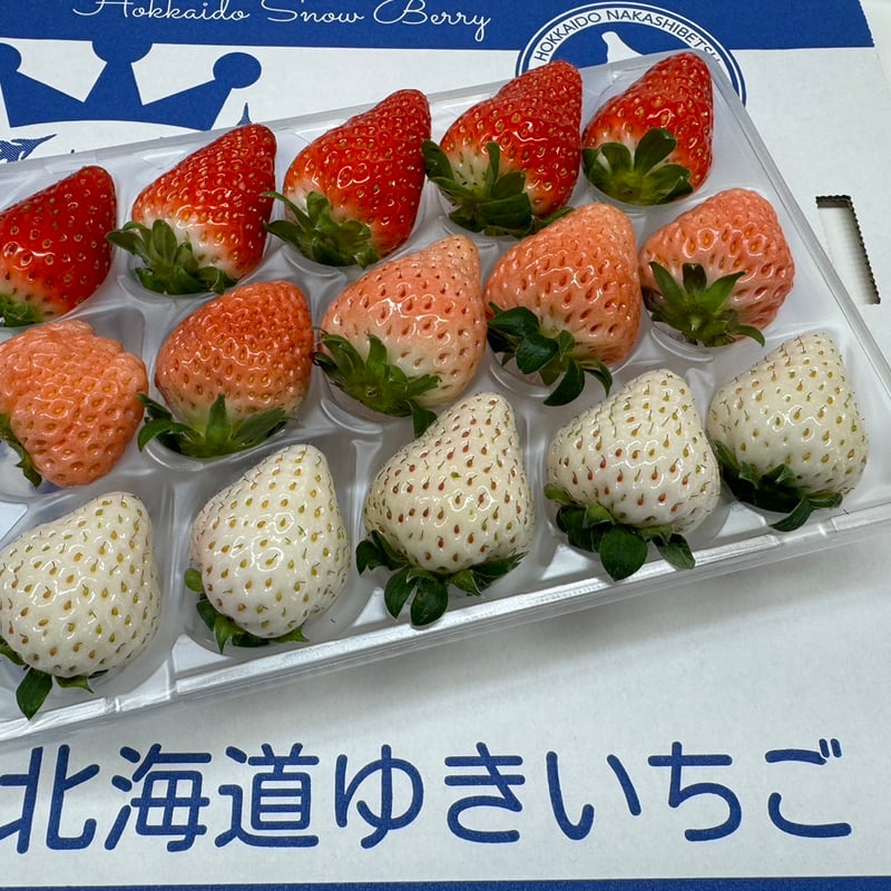 雪苺 38501.l.1.jpg