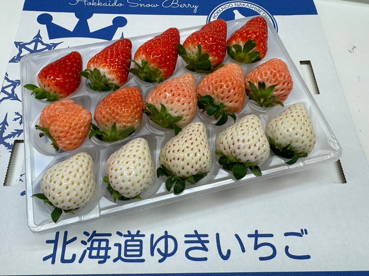 いちご様おまとめ専用です。トールペイント作品 いちご様おまとめ専用