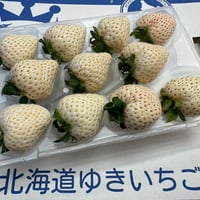 ☆ゆきいちごさま専用商品☆ c029_s_00.jpg