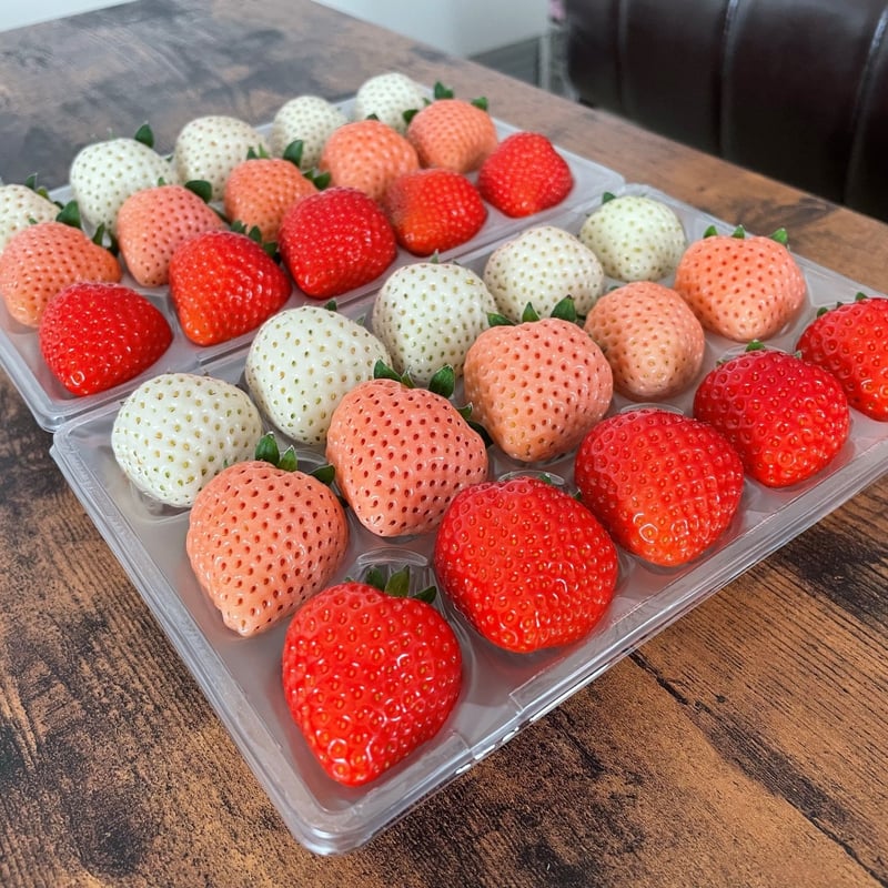 🍓ゆきいちご3色(赤&白＆ピンク) 2パックセット | 北海道ゆきいちご