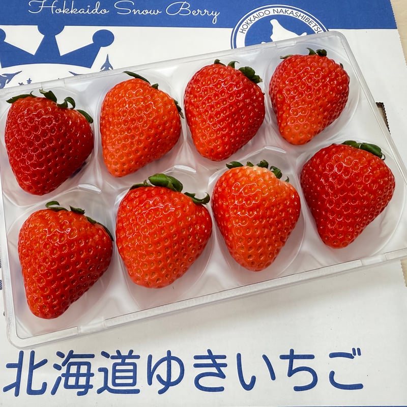 🍓ゆきいちご単色(赤) 2パックセット | 北海道ゆきいちごオンラインストア