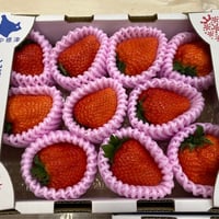 🍓ゆきいちご単色（ピンク）2パックセット | 北海道ゆきいちご