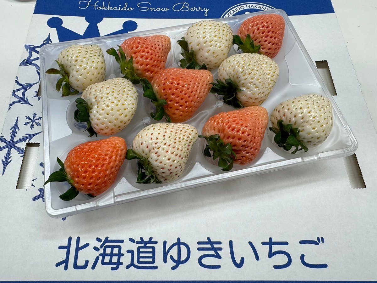 🍓ゆきいちご2色(ピンク&白) 2パックセット | 北海道ゆき