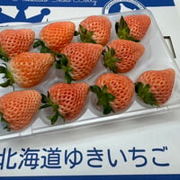 🍓ゆきいちご２色(赤＆白) ２パックセット | 北海道ゆきいちご 