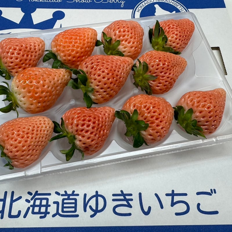 🍓ゆきいちご単色（ピンク）2パックセット | 北海道ゆきいちご