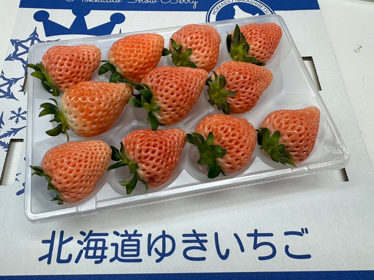 雪苺 北海道ゆきいちご (@thinkrich15) • Instagram photos and videos