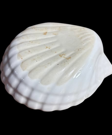 【4客セット】シェル皿 ホワイト 白磁 貝形皿 取り皿 貝殻 小皿 時代物 和食器 骨董品 アンティーク