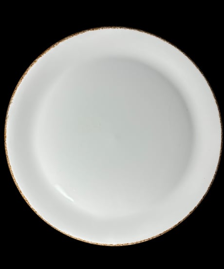 Steelite BROWN DAPPLE ブラウンダップル クーププレート 大皿 プレート 取り皿 盛り皿 飾り皿 和食器 陶器 骨董品 アンティーク