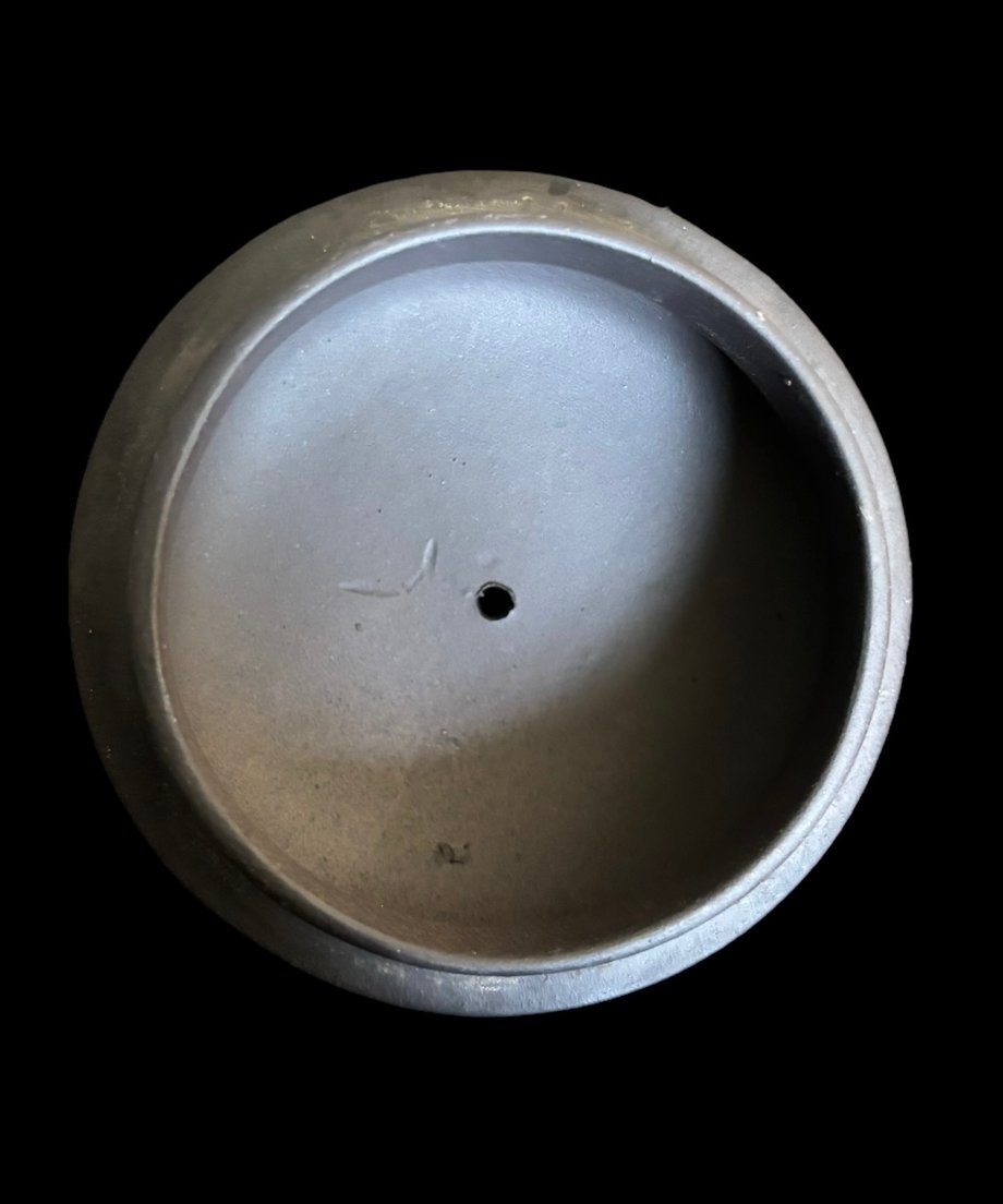 66b9875b2351e413773c2606